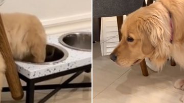 Reprodução / TikTok