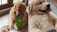 Reprodução / Instagram