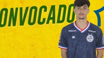 Divulgação