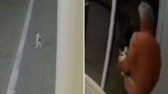 Reprodução / TikTok
