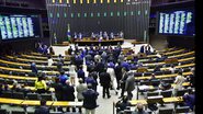 Zeca Ribeiro / Câmara dos Deputados