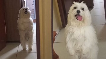 Reprodução/TikTok @fofnanda