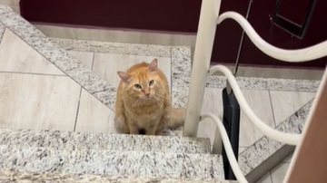 Reprodução/RedesSociais