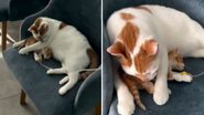 Reprodução / Instagram