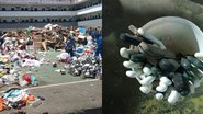 Reprodução/Redes sociais