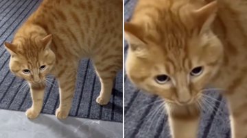 Reprodução / Instagram