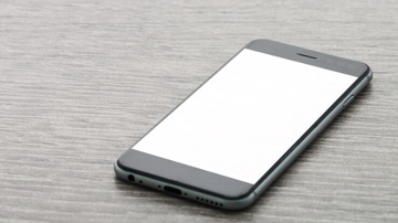 Divulgação / Freepik