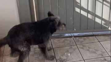 Reprodução/RedesSociais