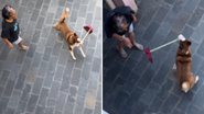 Reprodução / Instagram