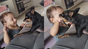 Imagem Carinho ou perigo? Interação entre pinscher e bebê repercute na web; assista