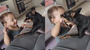 Imagem Carinho ou perigo? Interação entre pinscher e bebê repercute na web; assista