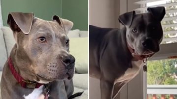 Reprodução / Instagram