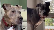 Reprodução / Instagram
