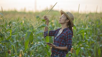 Divulgação / Freepik
