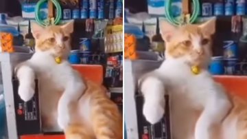 Reprodução / Instagram