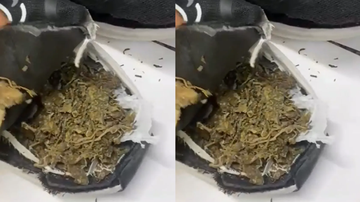 Reprodução/WhatsApp