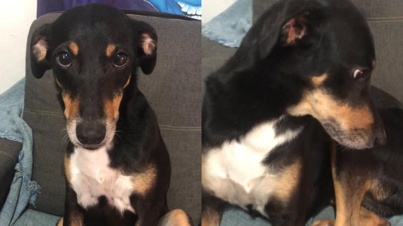 Reprodução/TikTok @zacaemeuri