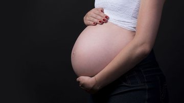 Reprodução / Pixabay