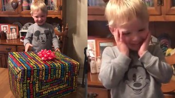 Reprodução/TikTok @oliviamacaca