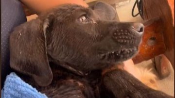 Reprodução/RedesSociais