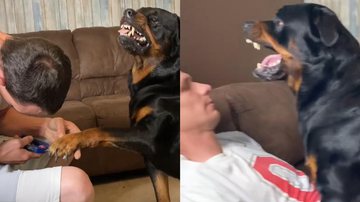 Reprodução/TikTok @oliviamacaca