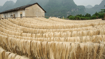 Divulgação / Freepik