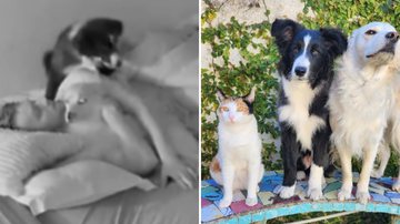 Reprodução / Instagram