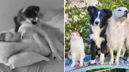 Reprodução / Instagram