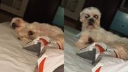 Reprodução/TikTok @kevyecookie