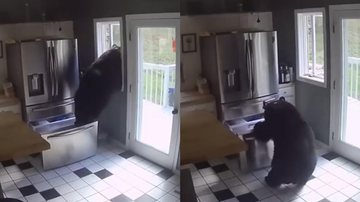 Reprodução/YouTube @WFSB