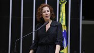 Reprodução / Câmara do Deputados