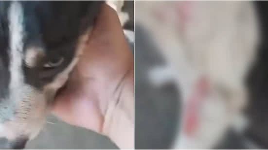 Reprodução/Redes sociais