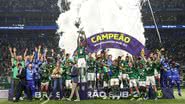 Divulgação/Palmeiras