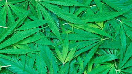 Reprodução/Freepik