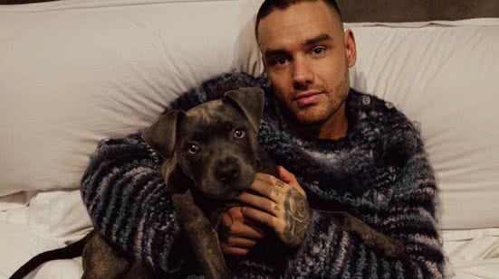 Reprodução / Instagram @liampayne