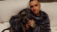 Reprodução / Instagram @liampayne