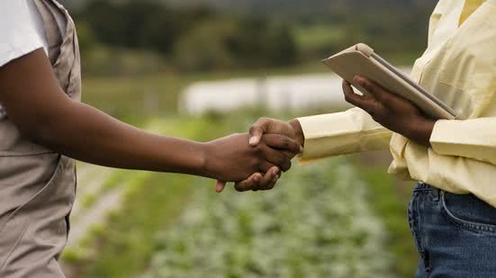 Divulgação / Freepik