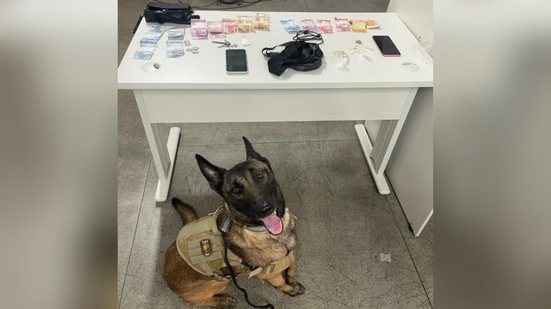 Divulgação/Polícia Militar