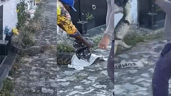 Reprodução Redes Sociais