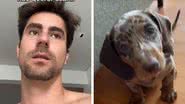 Reprodução / Tik Tok