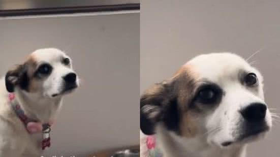 Reprodução// TikTok @lefrison_