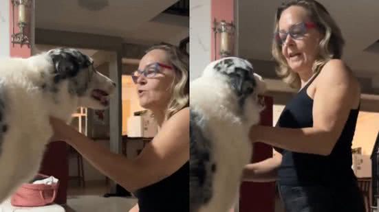 Reprodução// TikTok @analumee