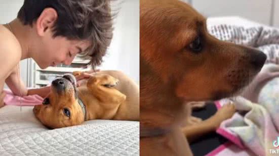 Reprodução// TikTok @ekkobacca