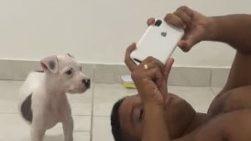 Reprodução// TikTok @mariamirelapit