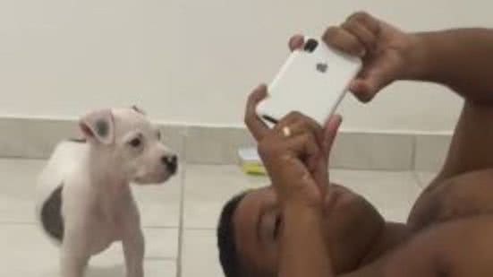 Reprodução// TikTok @mariamirelapit