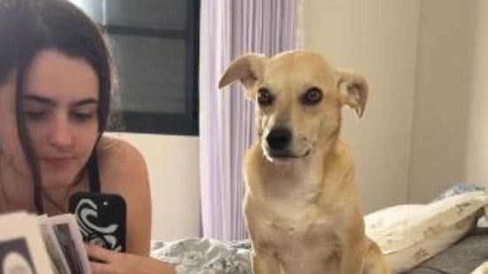 Reprodução/TikTok @bibshabibss