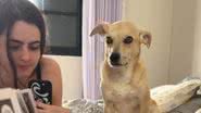 Reprodução/TikTok @bibshabibss