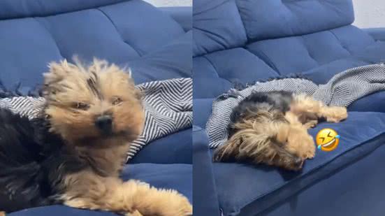 Reprodução// TikTok @limaluk