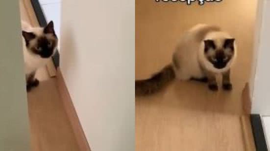 Reprodução// TikTok @nataliabicalhooo