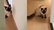 Reprodução// TikTok @nataliabicalhooo